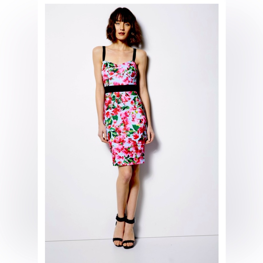 Milly for DesigNation Floral Scuba Dress Sz 6